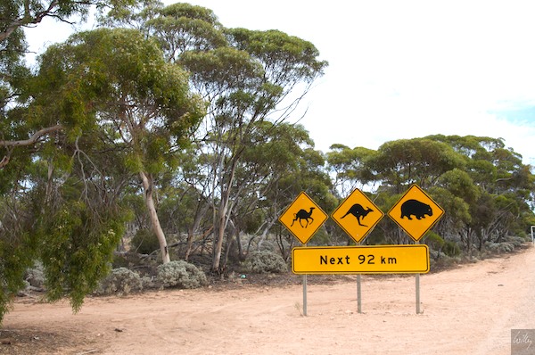 AustraliaPerth 10  007_1